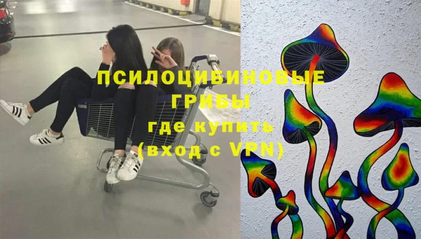 амф Надым