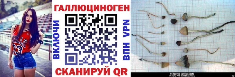 Псилоцибиновые грибы мицелий  Нытва 